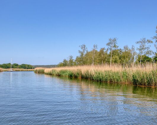 Ferienwohnungen mit Seeblick