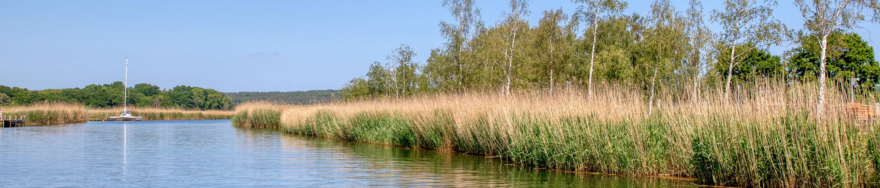 Ferienwohnung mit Seeblick